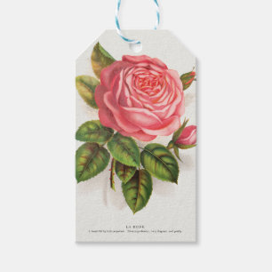 Cottagecore Antike Pink-Rosen-Blumenillustration Geschenkanhänger