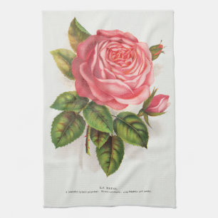 Cottagecore Antike Pink-Rosen-Blumenillustration Geschirrtuch