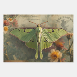 Cottagecore-Mondfalter Gothic-Mondspinner Nocturne Geschenkpapier Set