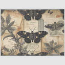 Cottagecore Mondschmetterling Botanik Apotheke