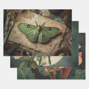 Cottagecore-Mondschmetterling Gothic-Mondfalter No Geschenkpapier Set