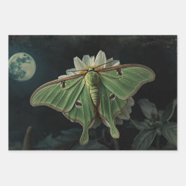 Cottagecore Moon Moth Gothic Moon Moth Nocturne Geschenkpapier Set