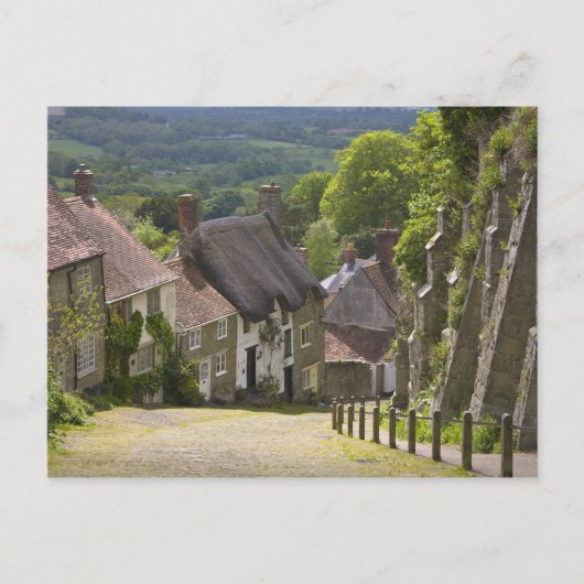 Cottages at Gold Hill, Shaftesbury, Dorset, Postkarte (Vorderseite)