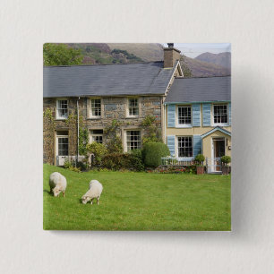 Cottages, Beddgelert, Gwynedd, Wales Button
