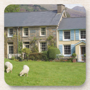 Cottages, Beddgelert, Gwynedd, Wales Getränkeuntersetzer