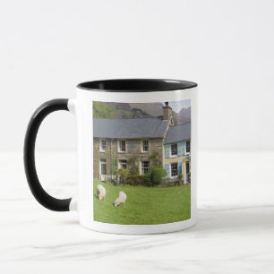 Cottages, Beddgelert, Gwynedd, Wales Tasse