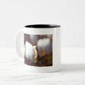 Cotton Boll Art Zweifarbige Tasse (Vorderseite Links)