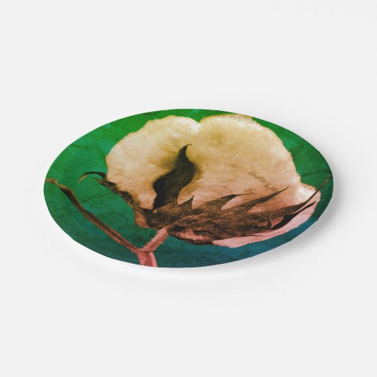 Cotton Boll Pappteller (Schrägansicht)