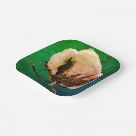 Cotton Boll Pappteller (Gewinkelt)