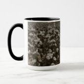 Cotton Boll Sunset Tasse (Links)