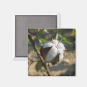 Cotton Bud Magnet (Vorderseite/Rückseite)