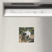 Cotton Bud Magnet (In Situ (Geschirrspüler))