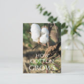 Cotton Bud Postkarte (Stehend Vorderseite)