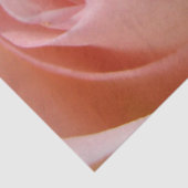 Cotton Candy Rose Bud Tissue Paper Seidenpapier (Detail)