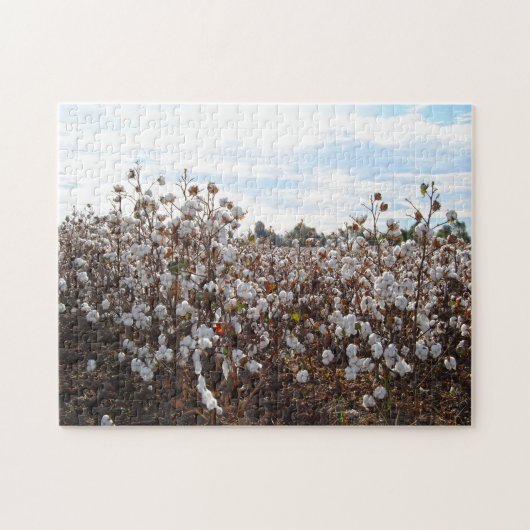 Cotton Field Missouri. Puzzle (Horizontal)