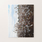 Cotton Field Missouri. Puzzle (Vertikal)