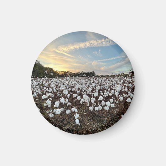 Cotton Fields Magnet (Vorne)