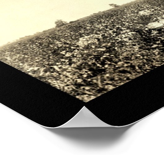 Cotton-Foto 1917 Poster (Ecke)