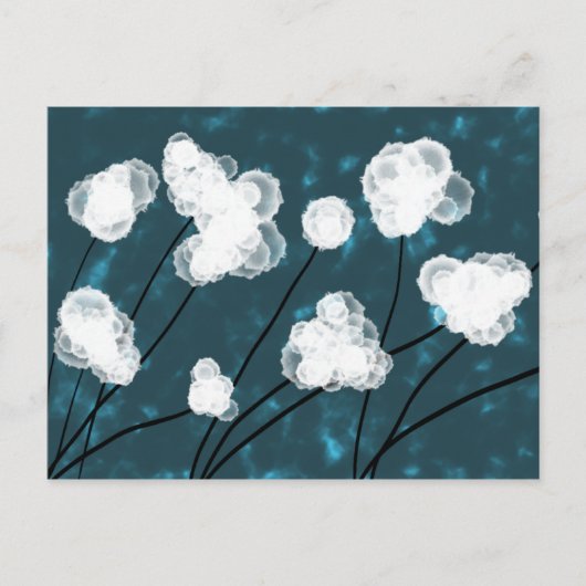 Cotton Gem Postkarte (Vorderseite)