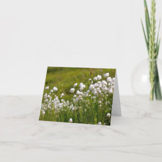 Cotton Grass Meadow - 4" x 5.6" Notecard Feiertagskarte