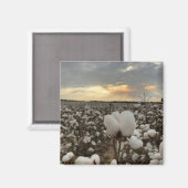 Cotton Sunset Magnet (Vorderseite/Rückseite)