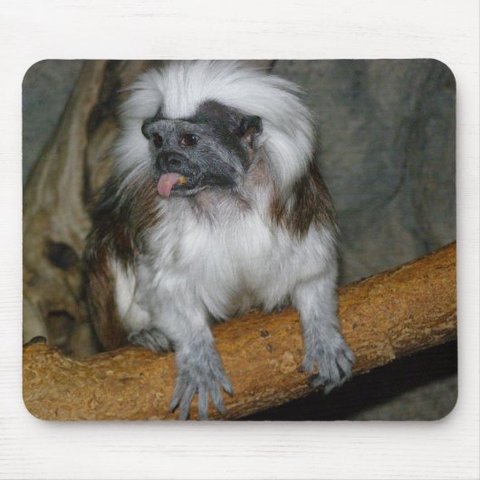 COTTON-TOP TAMARIN, mousepad (Vorne)