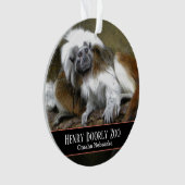 Cotton Top Tamarins Ornament (Vorderseite)