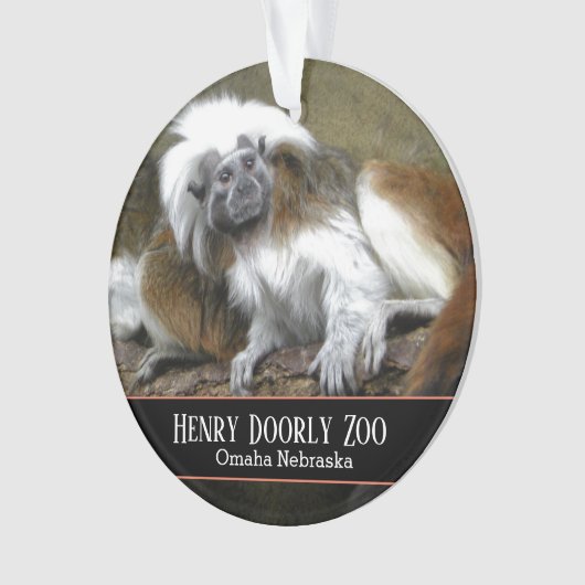 Cotton Top Tamarins Ornament (Vorderseite)