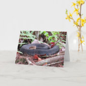 Cottonmouth Snake Grußkarte Karte (Gelbe Blume)