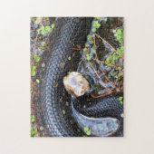 Cottonmouth Snake Puzzle (Vertikal)