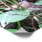 Cottonmouth Water Moccasine Coil Poster (Ecke)