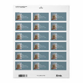 Cottontail Bunny Rabbit Bittersweet Art Adressaufkleber (Vorne)