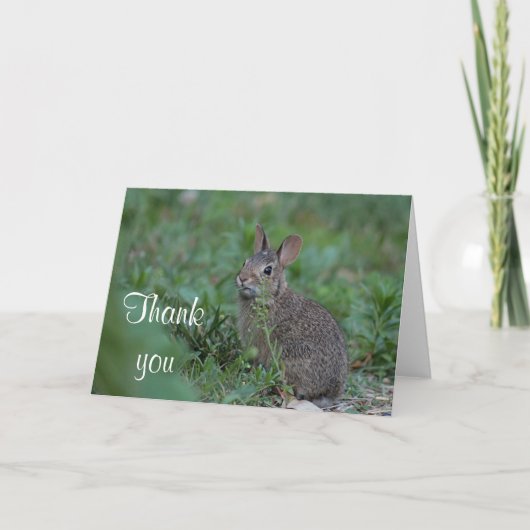 Cottontail Dankeskarte (Vorderseite)