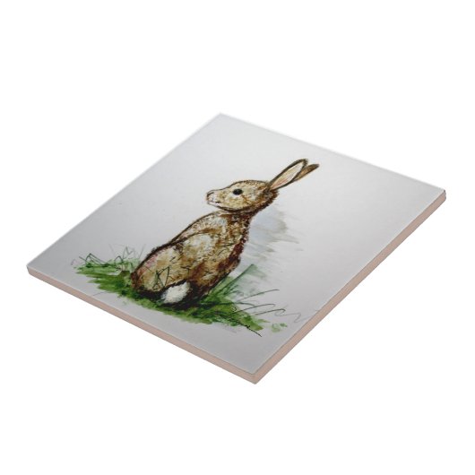 Cottontail . . . fliese (Seite)