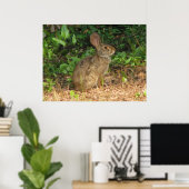 Cottontail Freeze Poster (Heimbüro)