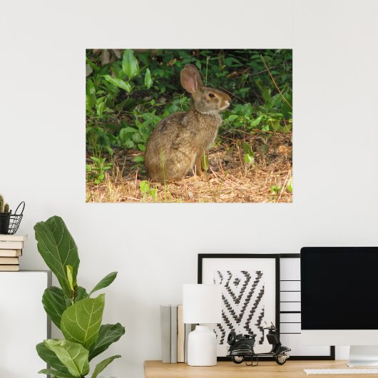 Cottontail Freeze Poster (Heimbüro)