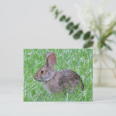Cottontail im Gras Postkarte (Stehend Vorderseite)