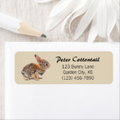 Cottontail Rabbit-Adresse (Insitu)