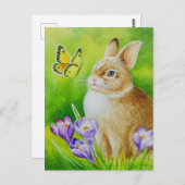 Cottontail Rabbit Butterfly Crocus Postkarte (Vorne/Hinten)