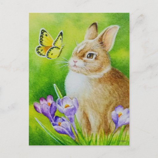 Cottontail Rabbit Butterfly Crocus Postkarte (Vorderseite)