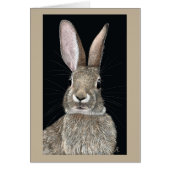 Cottontail Rabbit Card (Vorne)
