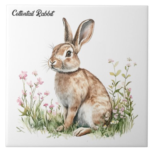 Cottontail Rabbit Fliese (Vorderseite)