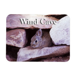 Cottontail Rabbit in Rocks Wind Höhle NP Magnet