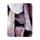 Cottontail Rabbit in Rocks Wind Höhle NP Magnet (Vertikal)
