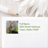 Cottontail Rabbit Mailing Labels (Insitu)
