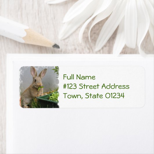 Cottontail Rabbit Mailing Labels (Insitu)