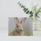 Cottontail Rabbit Postcard Postkarte (Stehend Vorderseite)