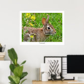 Cottontail Rabbit Print Poster (Heimbüro)