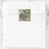 Cottontail Rabbit Quadratischer Aufkleber (Tasche)