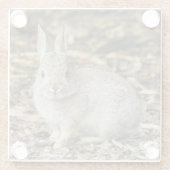 Cottontail-Untersetzer Glasuntersetzer (Rückseite)